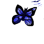 mariposa