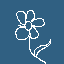 white flower