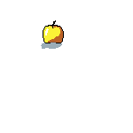 objecte 2