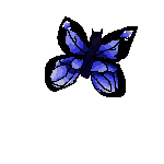 mariposa