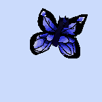 mariposa