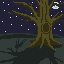 tree in the night