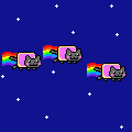 gatito