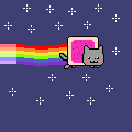 el gatito volador final