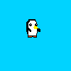 pingui 1