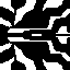 zoobra