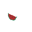 i dont liye watermelon