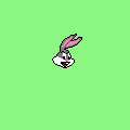 box buny