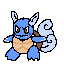 8 wartortle