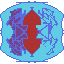 2