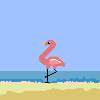 gif 2