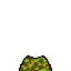 camo top