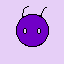 ant 2