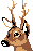 cervol