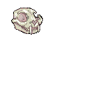 calavera