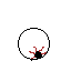 muj33