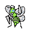 15 beedrill