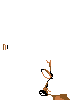 cervol