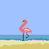 gif4