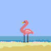 gif4