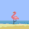 gif3