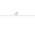 poyo