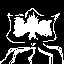 squid
