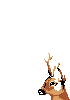 idk