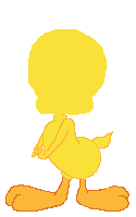piolin 2
