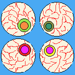 gif7