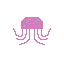 jelly fish
