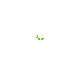tortugi