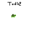 tudle the turtle