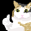 thumbs up cat