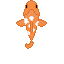coi fish