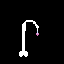 bone rod