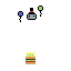 poop