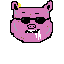 pig