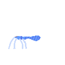 ice_spider