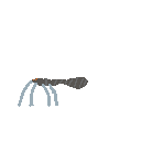 stone_spider