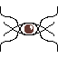 eye