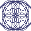 the eye