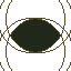 ducks eye