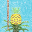 ananas pflanze