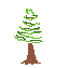 a simple pine tree 2