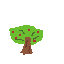 a simple apple tree