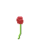 a simple flower 1