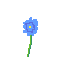 a simple flower 2