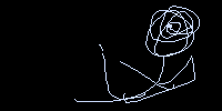 rose