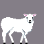 a simple sheep
